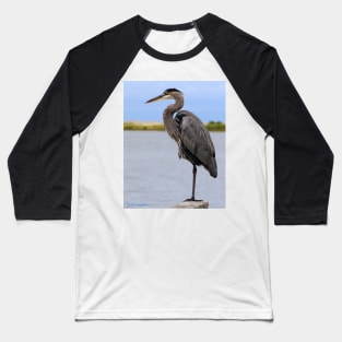 Royal Blue Heron Baseball T-Shirt